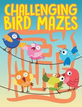 Paperback Challenging Bird Mazes Book