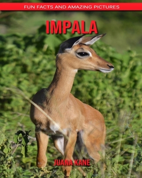 Impala: Fun Facts and Amazing Pictures