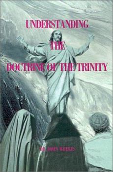 Paperback Understanding the Doctrine of the Trinity Book