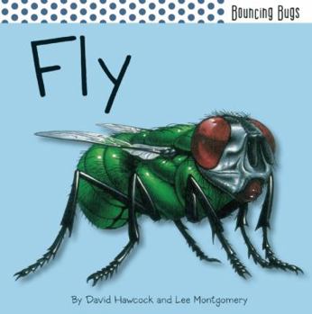 Hardcover Fly Book