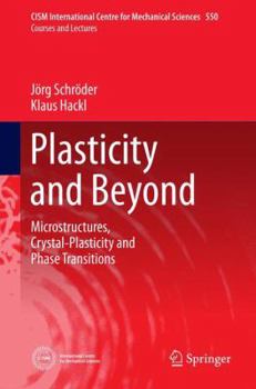 Hardcover Plasticity and Beyond: Microstructures, Crystal-Plasticity and Phase Transitions Book