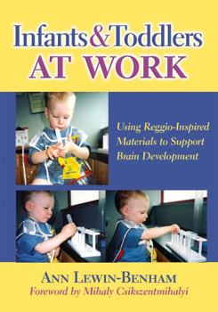 Paperback Infants and Toddlers at Work: Using Reggio-Inspired Materials to Support Brain Development Book