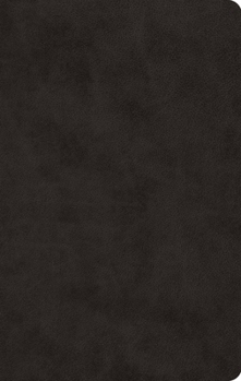 Imitation Leather ESV Large Print Value Thinline Bible (Trutone, Black) Book