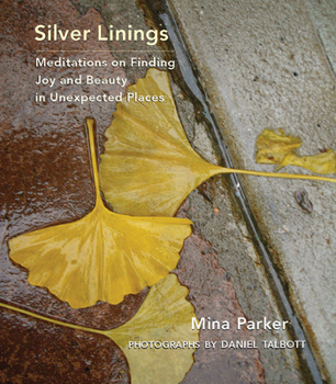 Hardcover Silver Linings: Meditations on Finding Joy and Beauty in Unexpected Places Book