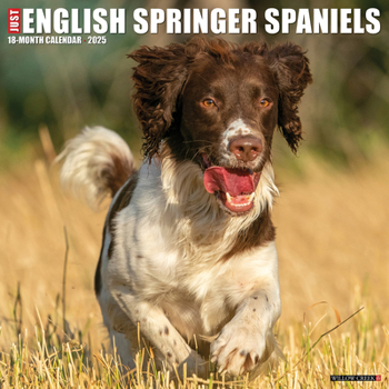 Calendar Just English Springer Spaniels 2025 12 X 12 Wall Calendar Book