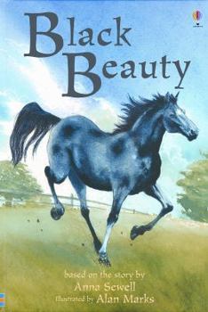 Black Beauty - Book  of the Usborne Young Reading Series 2