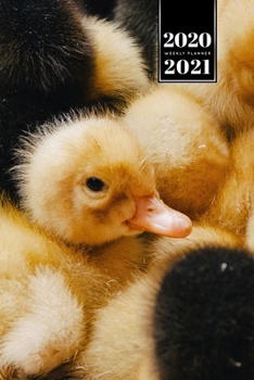 Duck Geese Goose Mallard Duckling Week Planner Weekly Organizer Calendar 2020 / 2021 - Group Cuddling: Cute Wildlife Animal Pet Bullet Journal Notebook Diary in 6” x 9” Inch Pocket Size