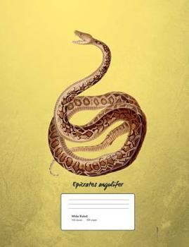 Paperback Snake Boa Constrictor Composition Book Wide Ruled: Notebook 200 pages 100 sheets Book