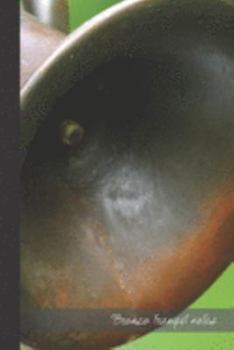 bronzo trumpet notes: small lined Trumpet Notebook / Travel Journal to write in (6'' x 9'') 120 pages