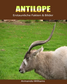 Paperback Antilope: Erstaunliche Fakten & Bilder [German] Book