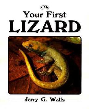 Paperback Your First Lizard Book