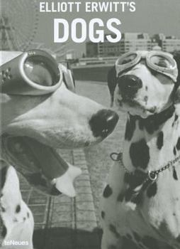 Elliott Erwitt's Dogs