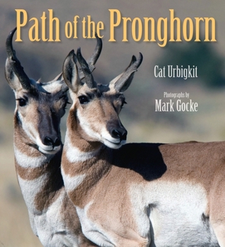 Hardcover Path of the Pronghorn Book