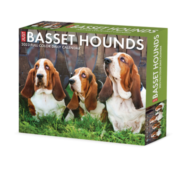 Calendar Basset Hounds 2023 Box Calendar Book