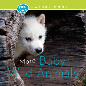 Paperback More Baby Wild Animals (Kids' Own Nature Book) Book