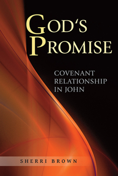 Paperback God's Promise: Covenant Relationship in John Book