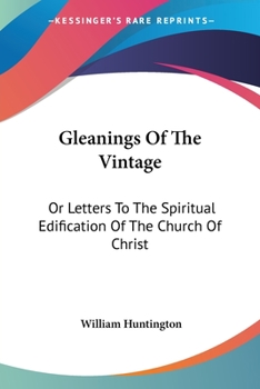 Paperback Gleanings Of The Vintage: Or Letters To The Spiritual Edification Of The Church Of Christ Book