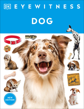 Paperback Eyewitness Dog Book