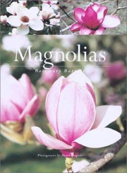 Paperback Magnolias Book