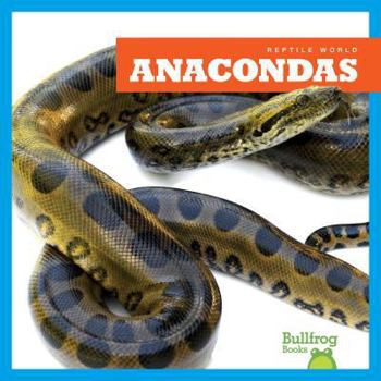 Anacondas - Book  of the Reptile World