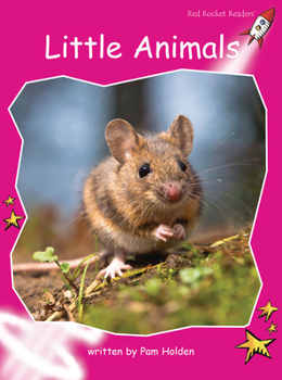 Paperback Little Animals Book