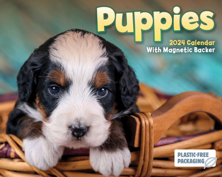 Calendar 2024 Puppies Mini Box Calendar Book