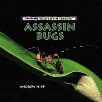 Library Binding Assassin Bugs Book