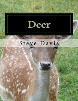 Paperback Deer: Adult Coloring Book