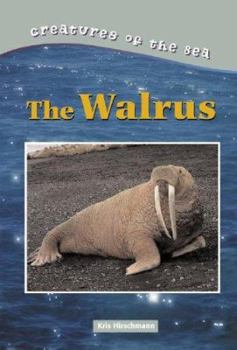 Hardcover Creatures of the Sea: Walruses Book