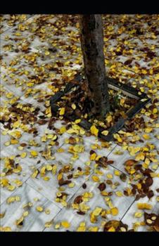 No Ground: A Surreal Plunge into the Unknown — Where Falling Never Ends