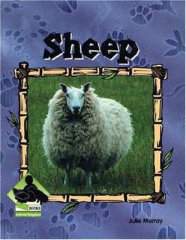 Library Binding Sheep Book