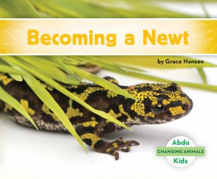 De Huevo a Tritón / Becoming a Newt - Book  of the Changing Animals