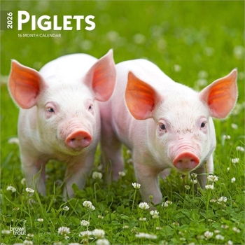Piglets 2026 12 X 24 Inch (Hanging) Monthly Square Wall Calendar Plastic-Free