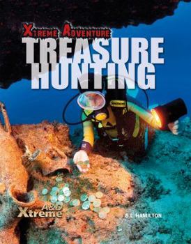 Library Binding Treasure Hunting Book