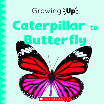 Paperback Caterpillar to Butterfly (Growing Up) (Paperback) Book