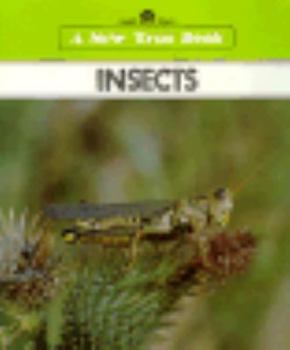 Paperback Insects (New True Book) Book