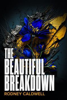 Hardcover The Beautiful Breakdown: Discovering Beauty in Brokenness Book