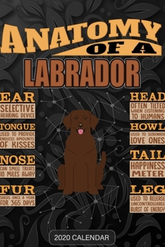 Paperback Anatomy Of A Labrador Retriever: Labrador Retriever 2020 Calendar - Customized Gift For Labrador Retriever Dog Owner Book