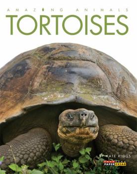 Paperback Amazing Animals: Tortoises Book