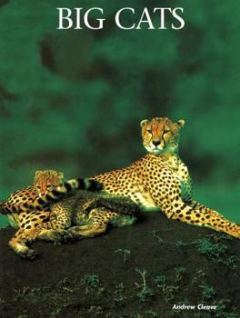 Big Cats: A Portrait of the Animal World - Book  of the Animals in the Wild