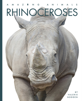 Paperback Rhinoceroses Book