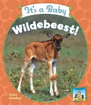 It's a Baby Wildebeest! - Book  of the Baby Mammals