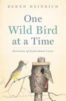 Hardcover One Wild Bird at a Time: Portraits of Individual Lives Book