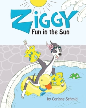 Paperback Ziggy Fun in the Sun Book