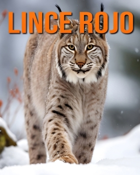 Paperback Lince rojo: Datos e imágenes divertidas y fascinantes sobre los Lince rojo [Spanish] Book