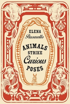 Hardcover Animals Strike Curious Poses Book