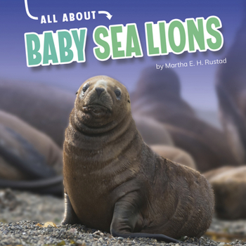 Hardcover All about Baby Sea Lions Book