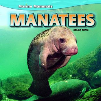 Paperback Manatees Book