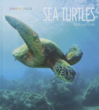 Sea Turtles - Book  of the Living Wild