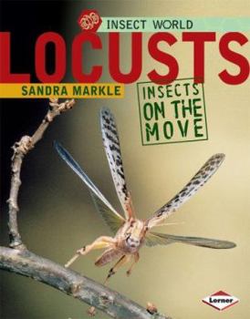 Library Binding Locusts: Insects on the Move Book